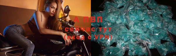дурь Вяземский