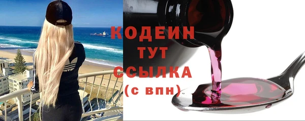 дурь Вяземский