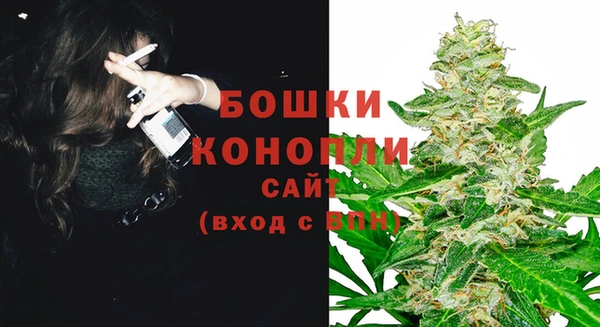 дурь Вяземский