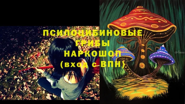 дурь Вяземский