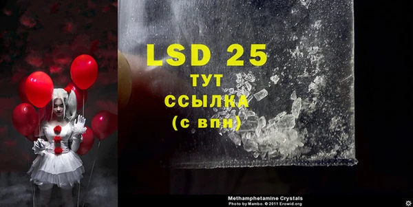 дурь Вяземский