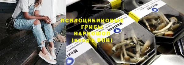 дурь Вяземский